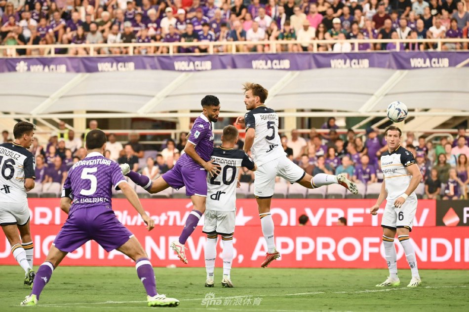 新赛季各支 新赛季各支